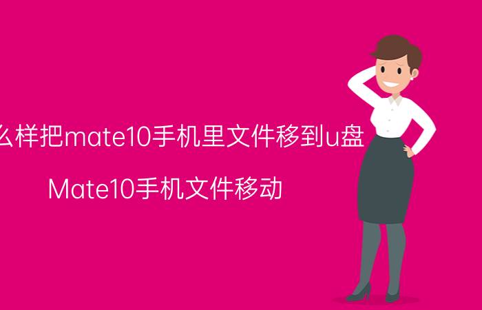 怎么样把mate10手机里文件移到u盘 Mate10手机文件移动